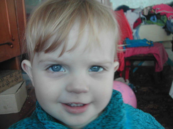 Сергей Животченко