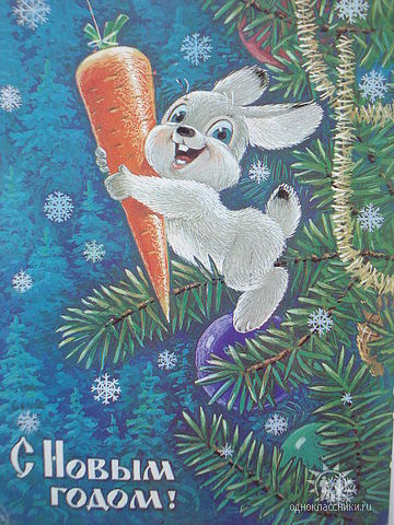 Катерина Соколова