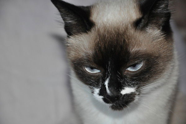 Ольга Лебеденко