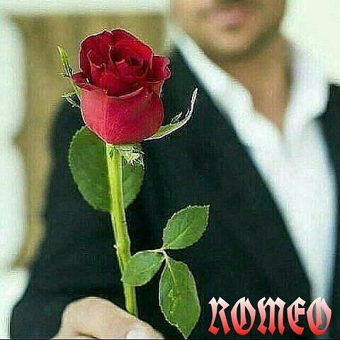 Марат Нурсипат