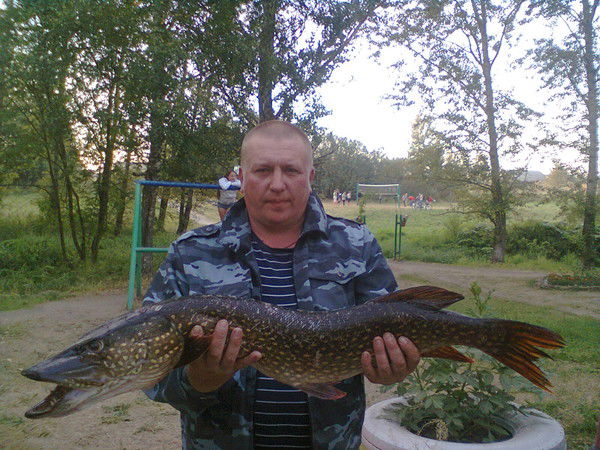 Александр Дресвянкин