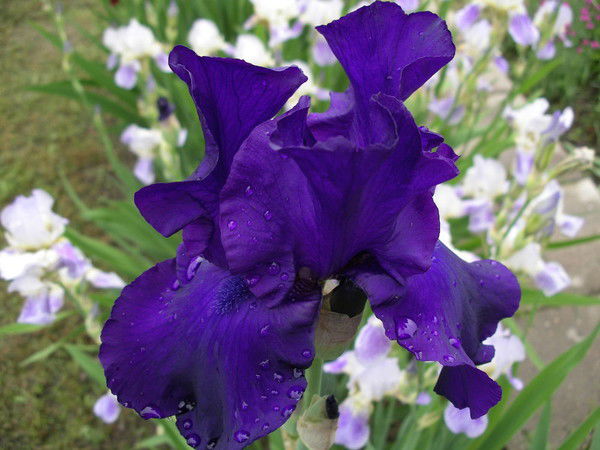 Екатерина Максимчук