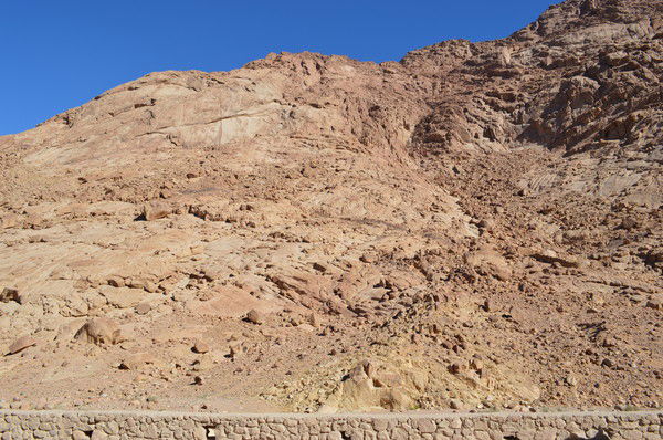 Ольга Лелька