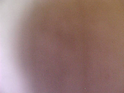 Вячеслав Скородумов