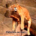 Ирина Пестерева (Герасимова)