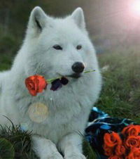 Айнур Каримов