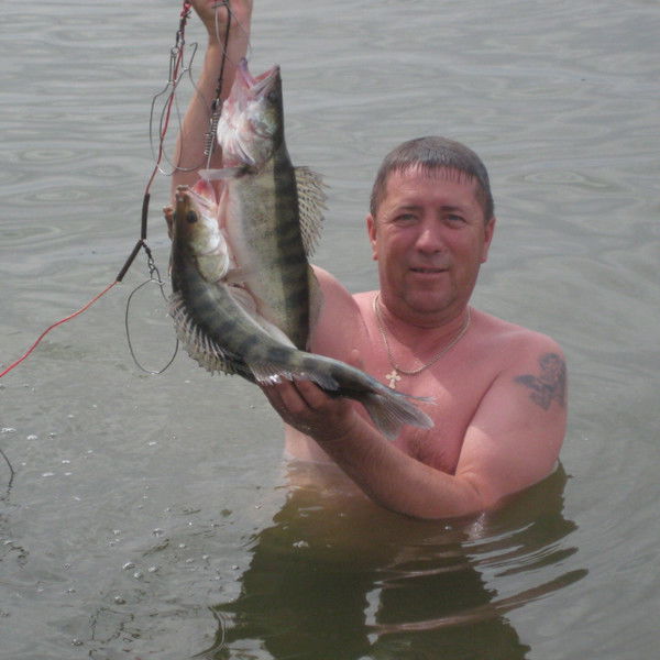 Дмитрий Бушмин