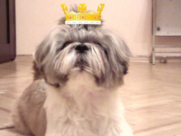 Павел Деревянко