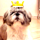 Павел Деревянко