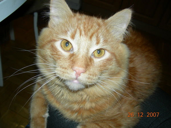 Сергей Кожукаров