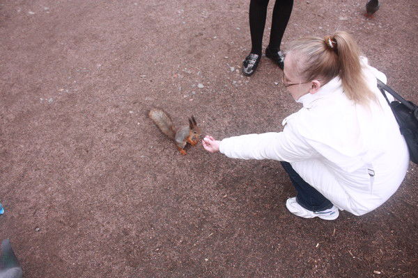 Светлана Степченко