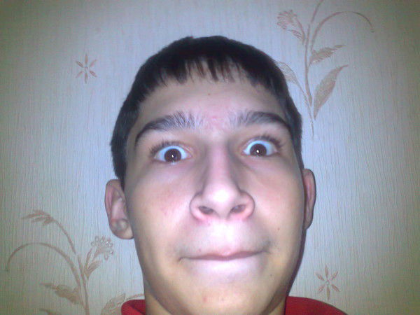 Егор Палишкин