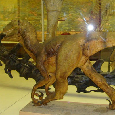 Вениамин Якушенко