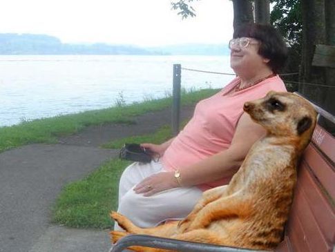 Ольга Тетерина