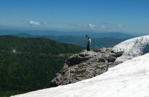Алексей Голузов