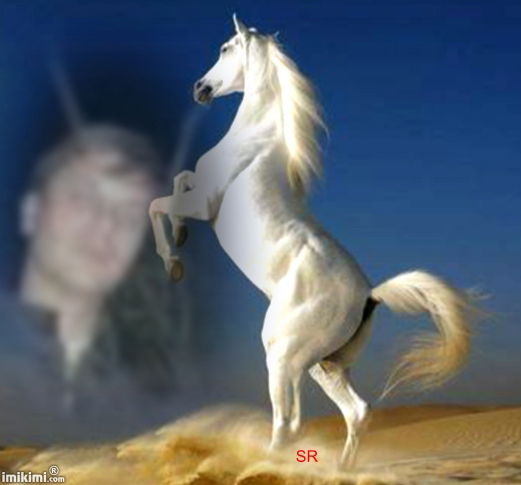 Скайпе: Anipalpa1