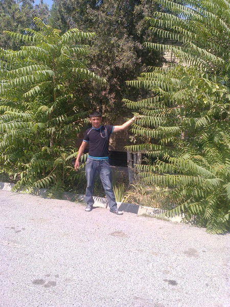 Асылбек Алмашев