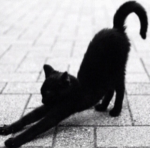 Юлия Станкевич