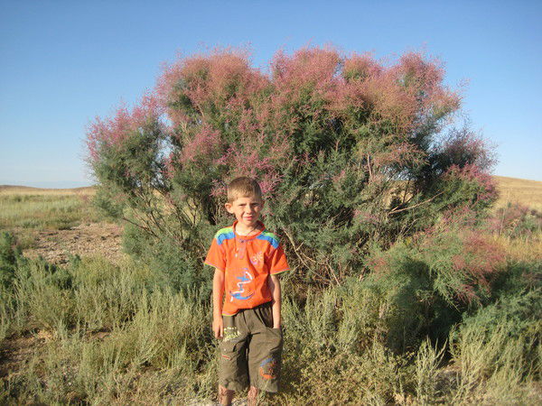 Данил Тамонкин