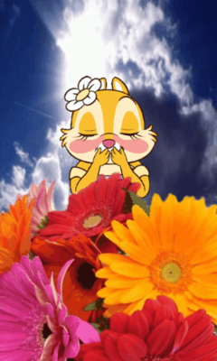 Ботагоз Тулунчак