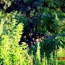 Николай Варавин