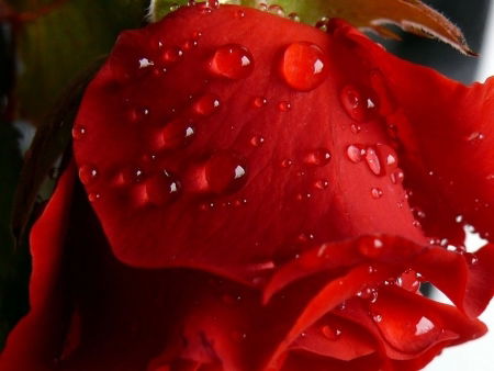 Манат Жексекеева