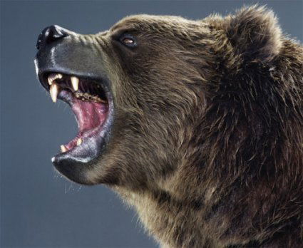 Николай Лушников