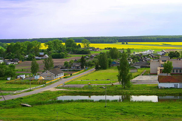 Александр Ходосок