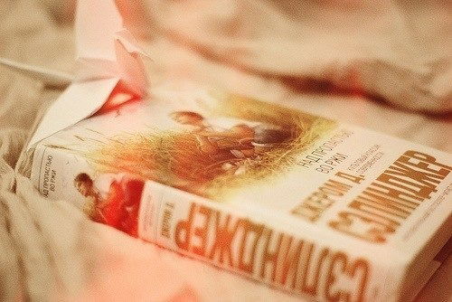 Анастасия Шлыгова