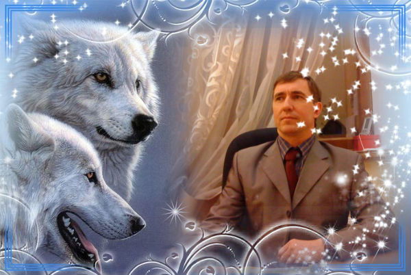 Николай Шапоров