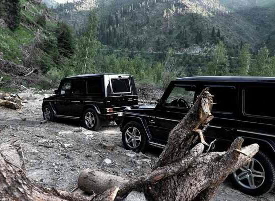 Владимир Волков