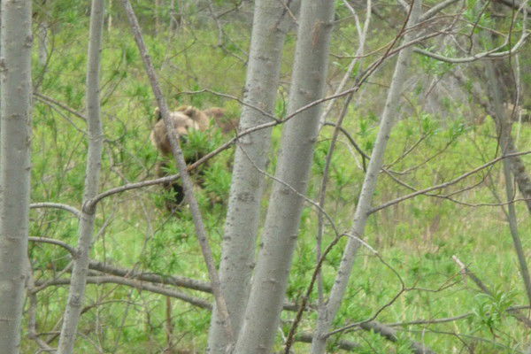 Сергей Бакуров