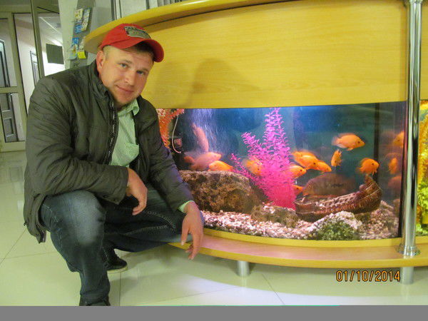 Андрей Лапин