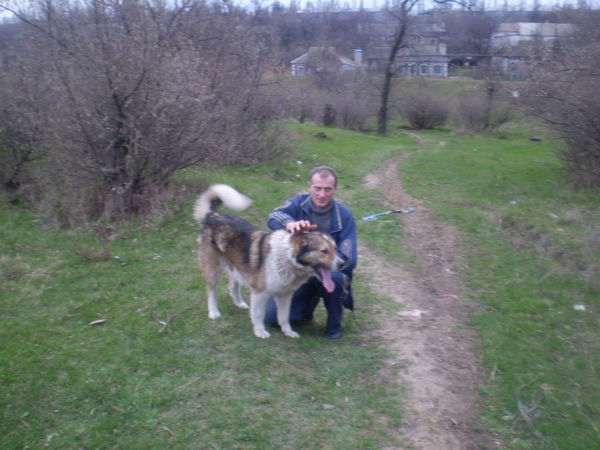 Эд Героимов