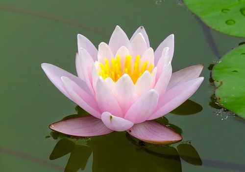 Гулайым Нукусова