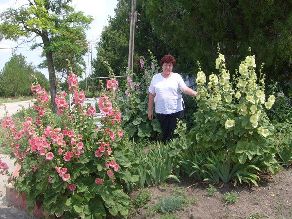 Галина Троник