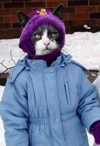 Макс Коваль