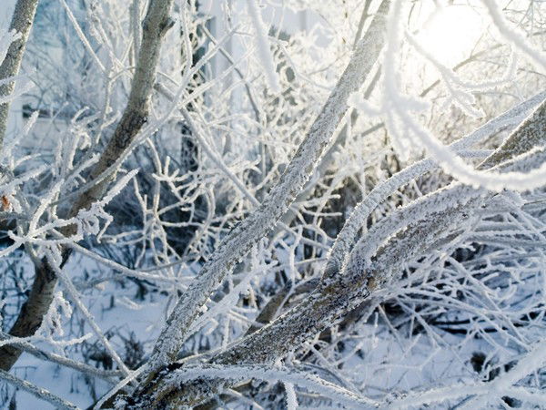 Лейла Ландина