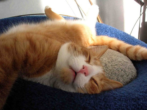 Неизвестно Неизвестно