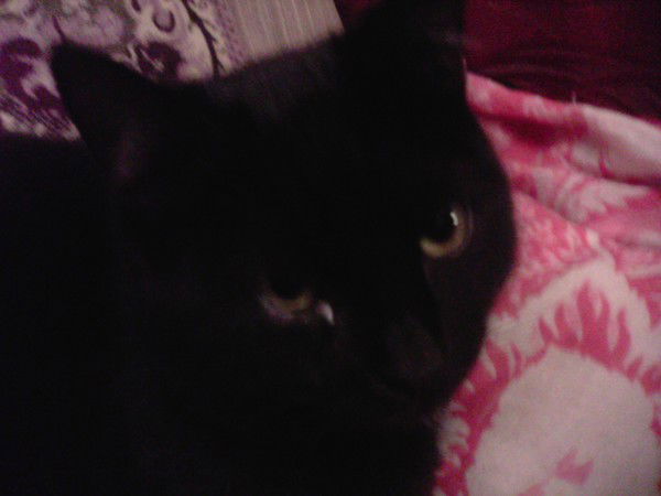 Наталья Федорова