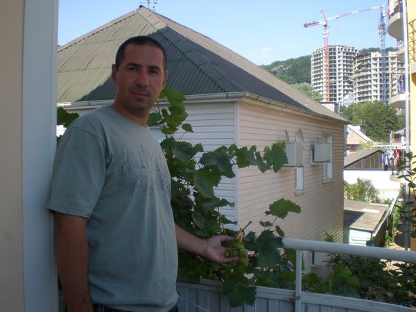 Дмитрий Харитонов