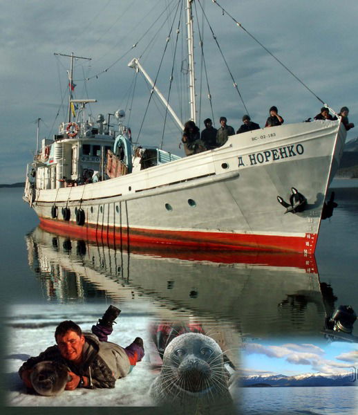 Андрей Варнавский