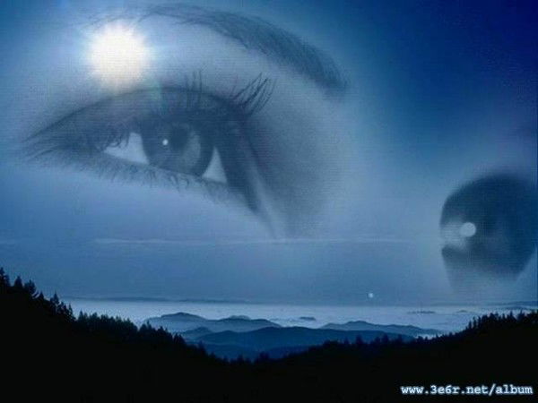 Анжелика Шевченко