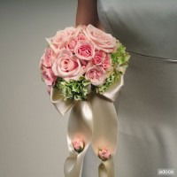 Светлана Мудрак