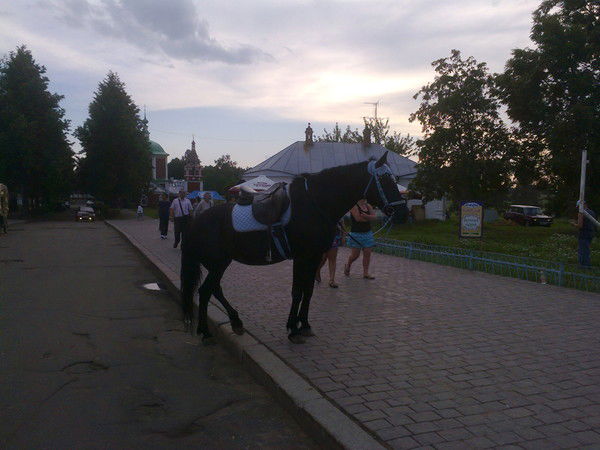 Михаил Золотилин