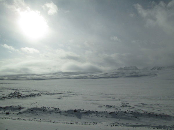 Махмуд Мадиев