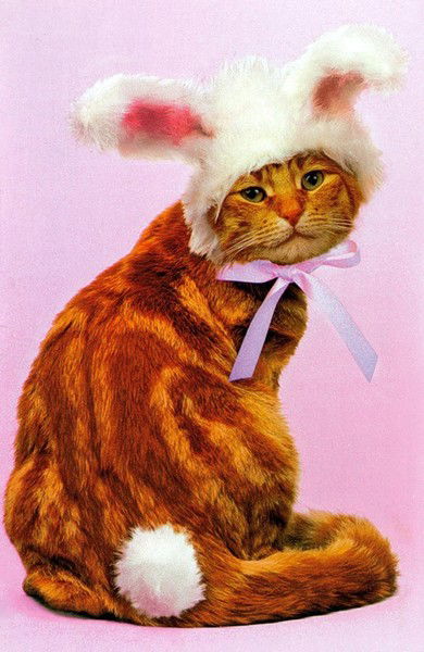 Alino4K@ Нурмагамбетова