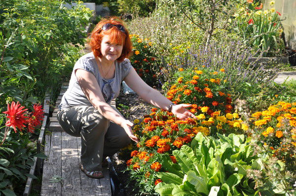 Света Гончар