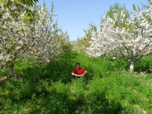 Нурланбек Гайдаров