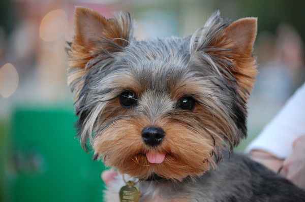 Екатерина Кушнир